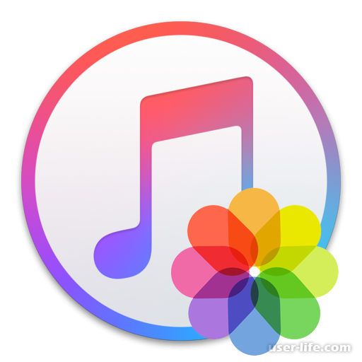       iPhone  iTunes