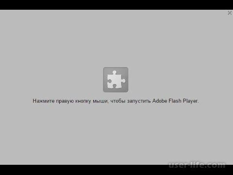    Adobe Flash Player