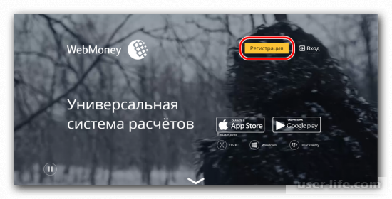    Webmoney   