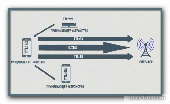   TTL  Windows 10