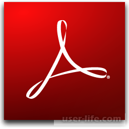    PDF  Adobe Reader