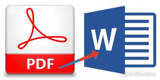   PDF  Word