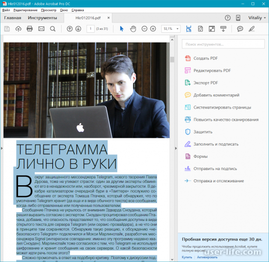   PDF  Word