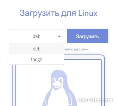 Discord Linux Ubuntu:      