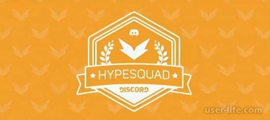    Hypesquad  