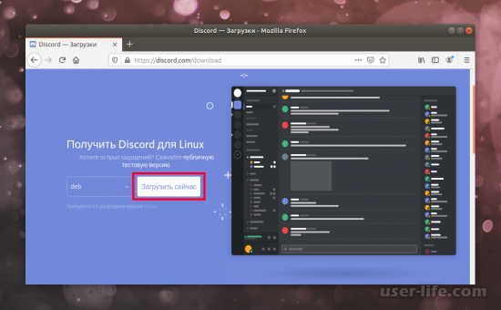 Discord Linux Ubuntu:      