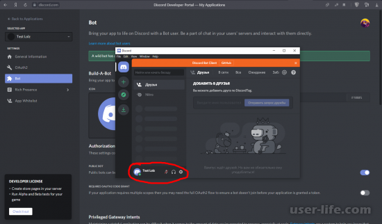  Discord        