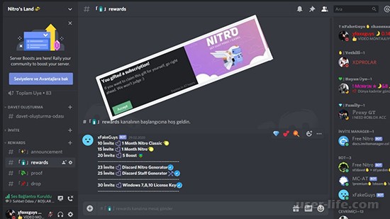    Nitro  Discord