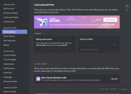    Discord Nitro    