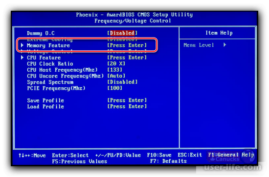    RAM  BIOS