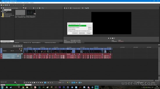     Sony Vegas Pro