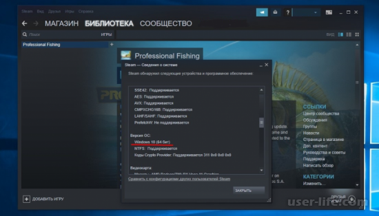   Steam  Windows 10