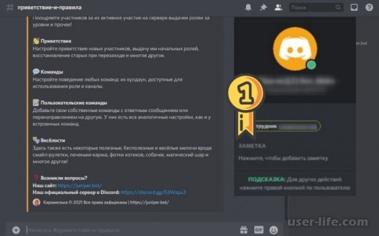   Discord:    