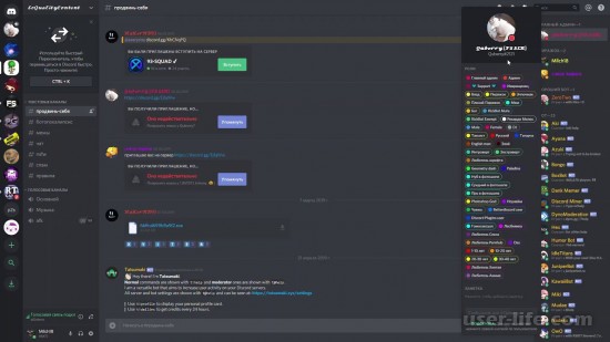  10     Discord